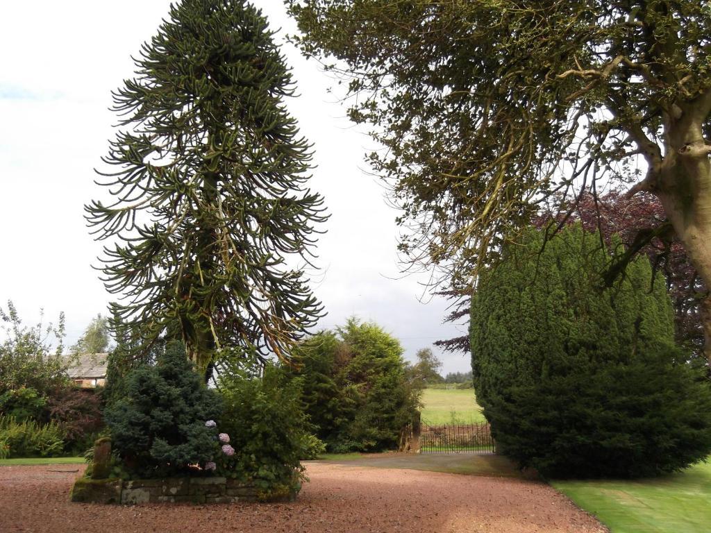 Kirkpatrick House Bed & Breakfast Gretna Green Luaran gambar