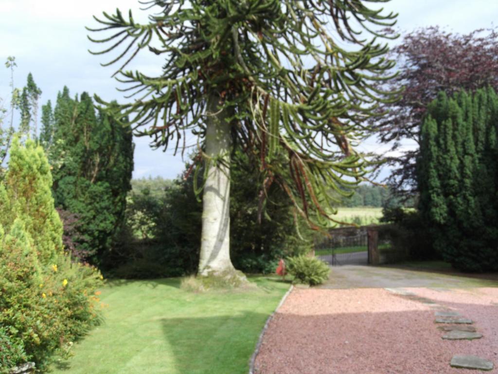 Kirkpatrick House Bed & Breakfast Gretna Green Luaran gambar